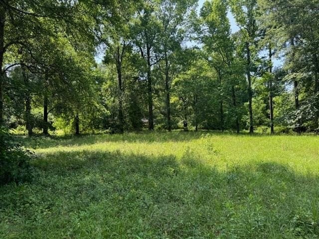 0.58 acres in Texas County