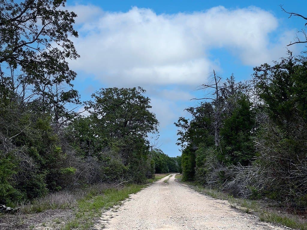 27.49 acres in Fayette County - photo 6