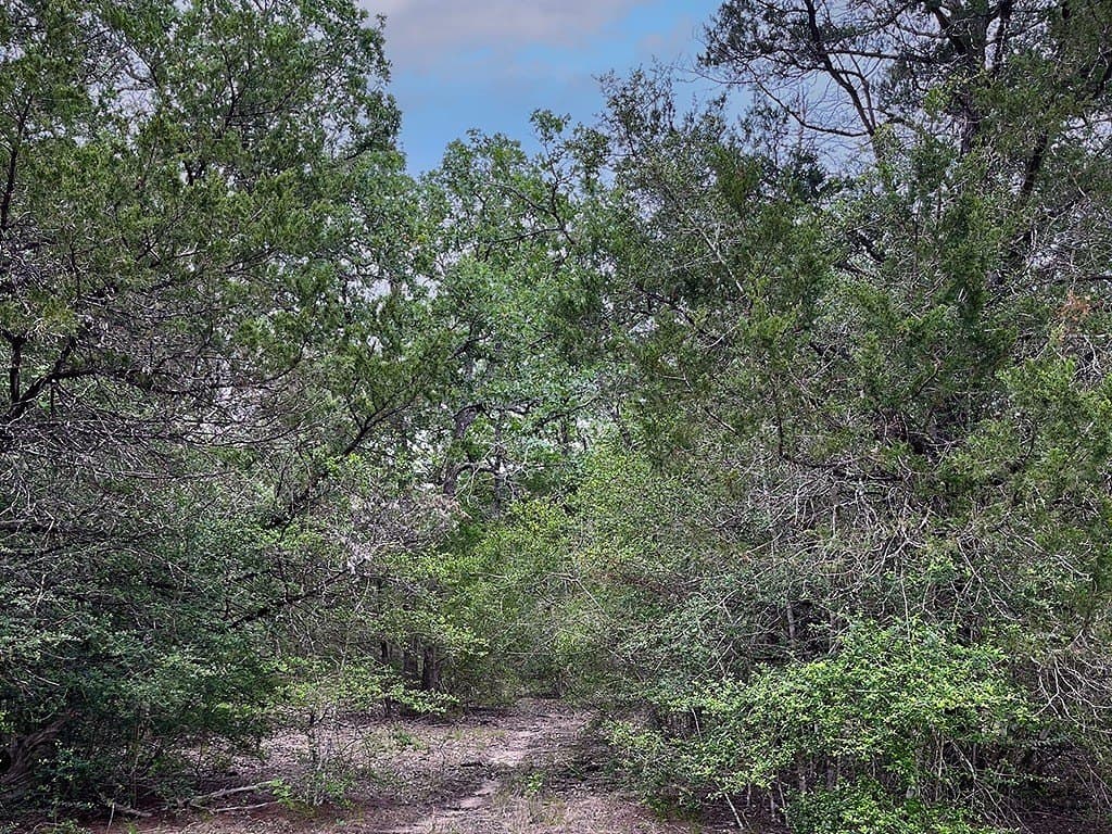 27.49 acres in Fayette County - photo 11