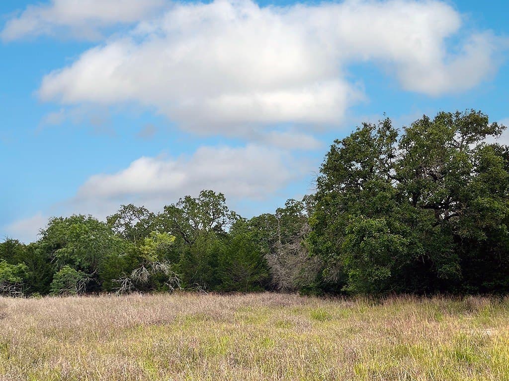 27.49 acres in Fayette County - photo 7