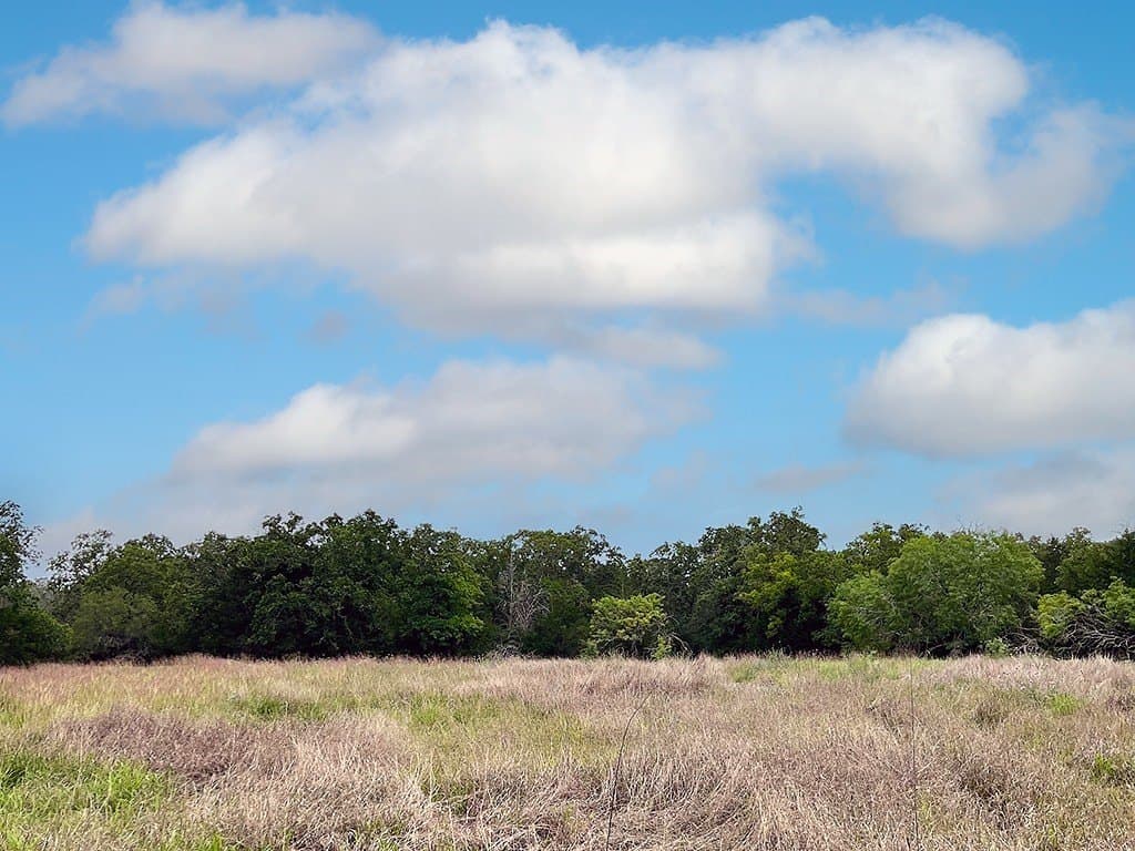 27.49 acres in Fayette County - photo 9