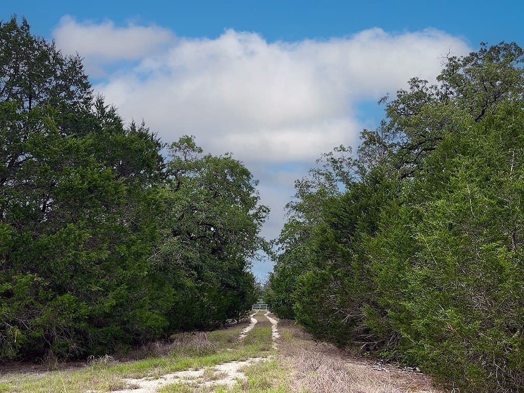 27.49 acres in Fayette County - photo 10