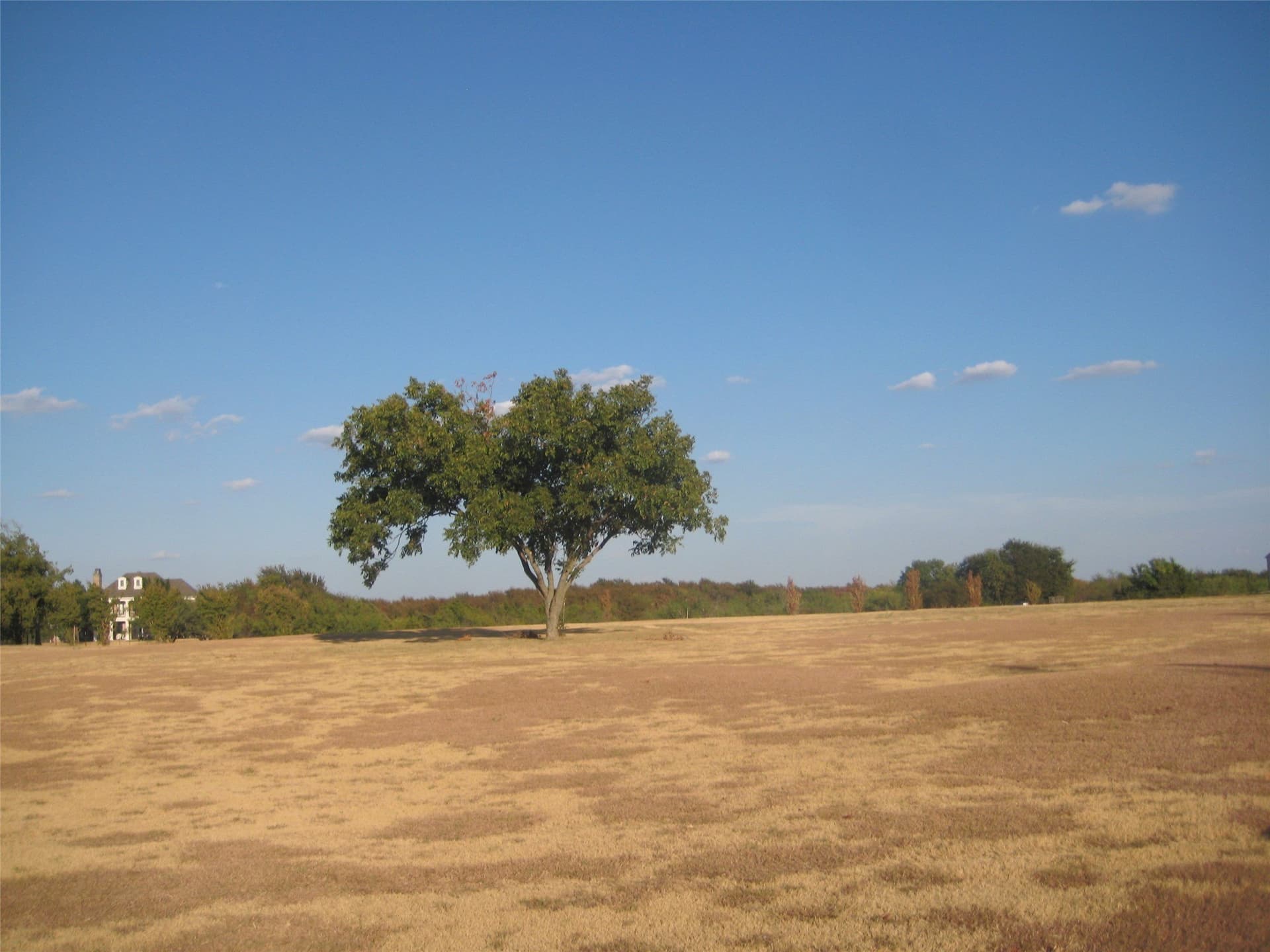 2 acres in Denton County - photo 11