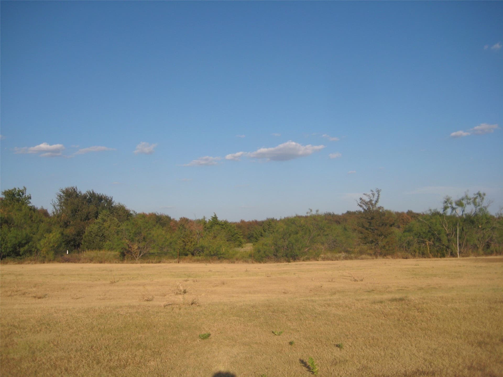 2 acres in Denton County - photo 4