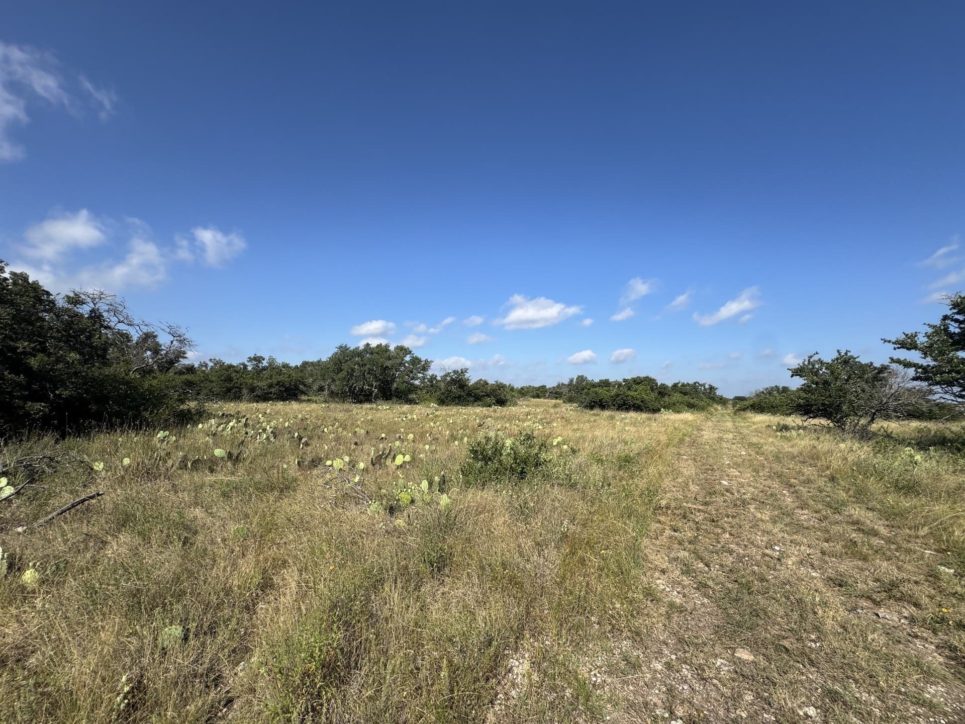 25 acres in McCulloch County - photo 6