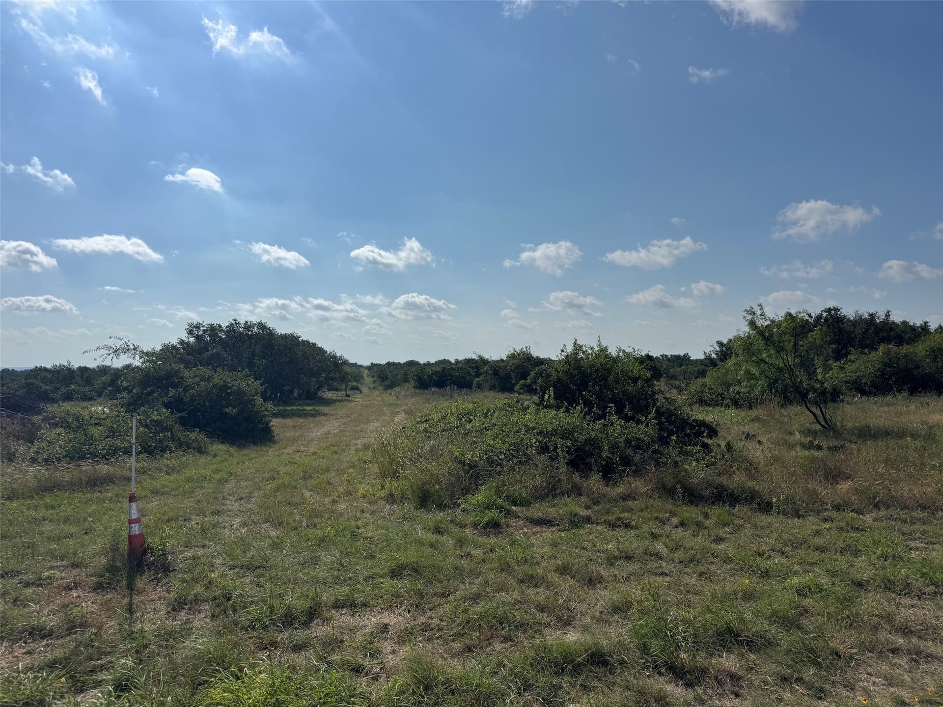 25 acres in McCulloch County gallery image 4