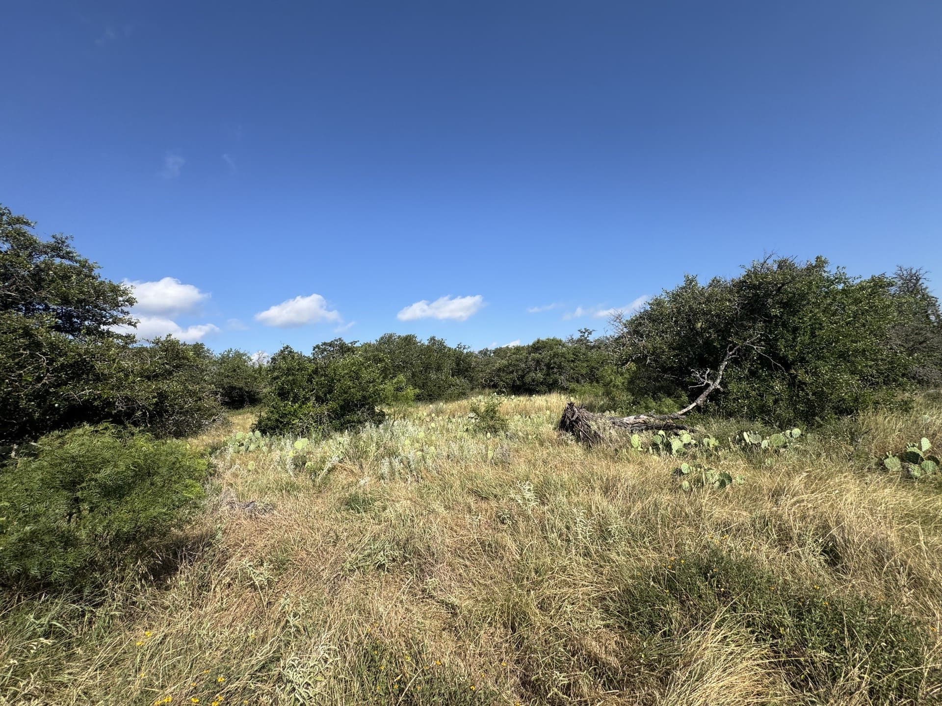 25 acres in McCulloch County - photo 7