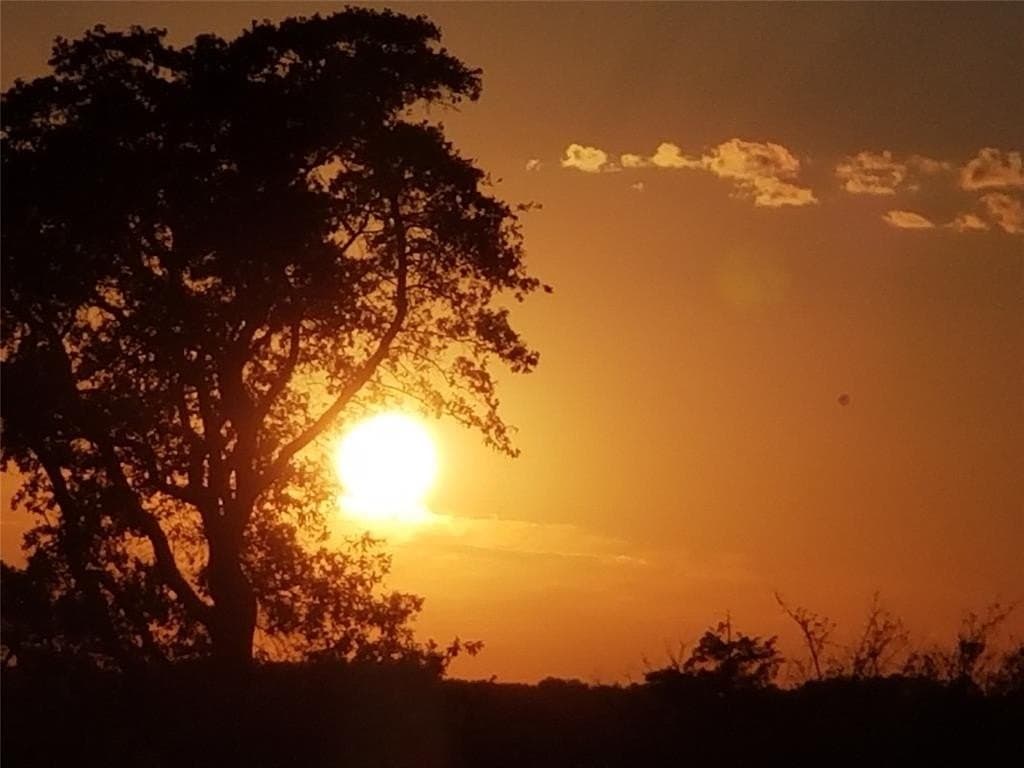 81 acres in Henderson County