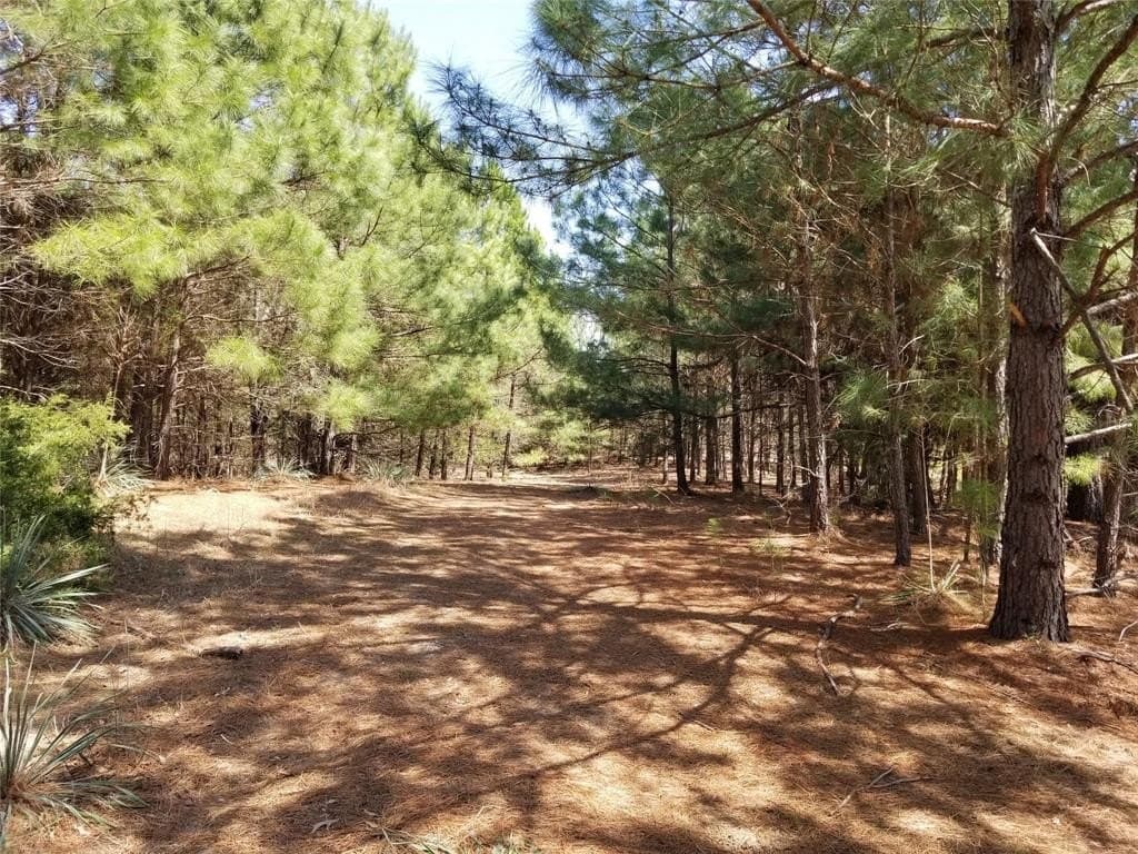 81 acres in Henderson County gallery image 3