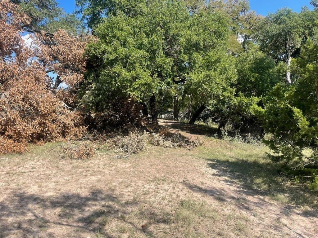 1.25 acres in Edwards County - photo 10