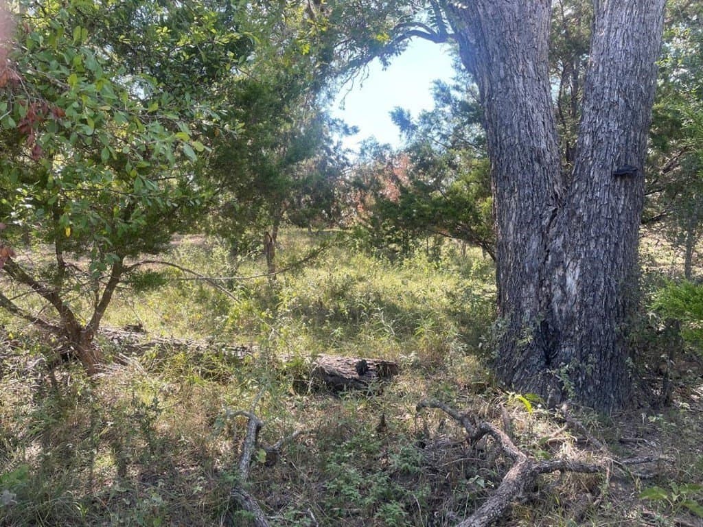 1.25 acres in Edwards County - photo 6