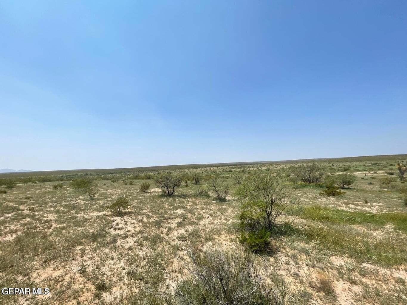 40 acres in Hudspeth County gallery image 2
