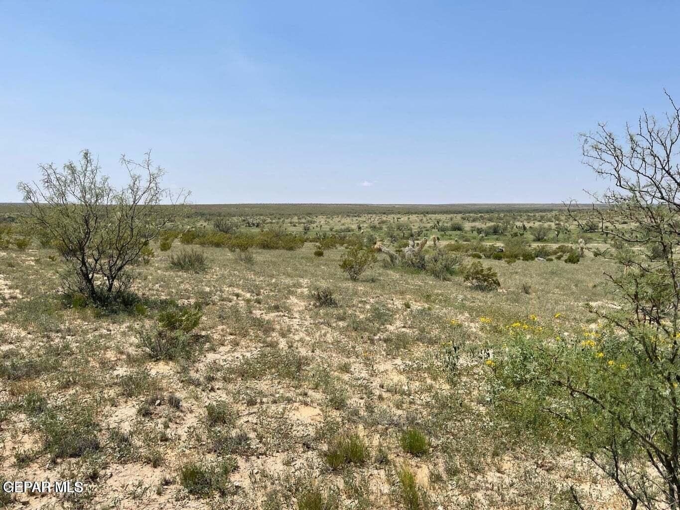 40 acres in Hudspeth County