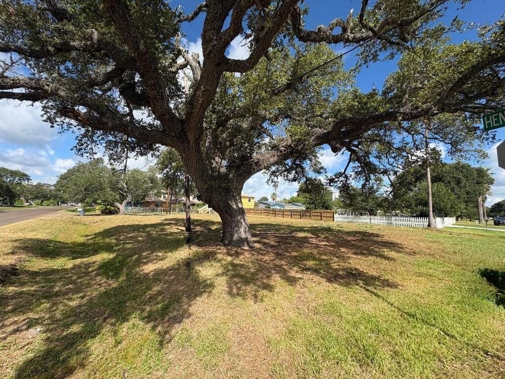 0.23 acres in Texas County - photo 9