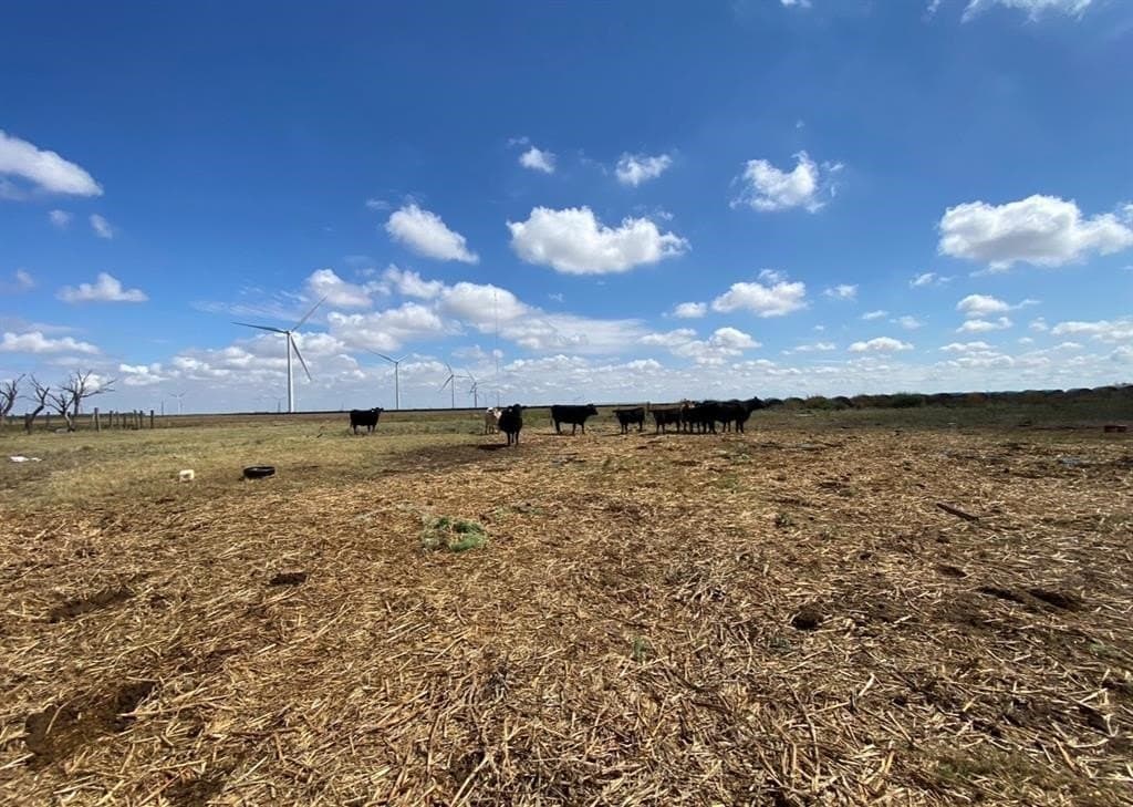 874.25 acres in Haskell County - photo 2