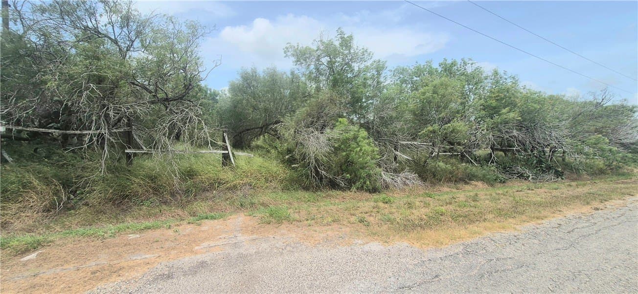 2 acres in Nueces County - photo 4