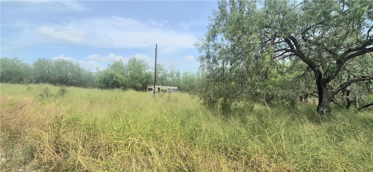 2 acres in Nueces County - photo 7