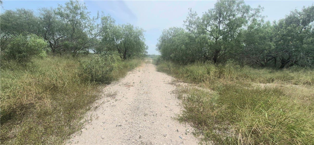 2 acres in Nueces County - photo 8