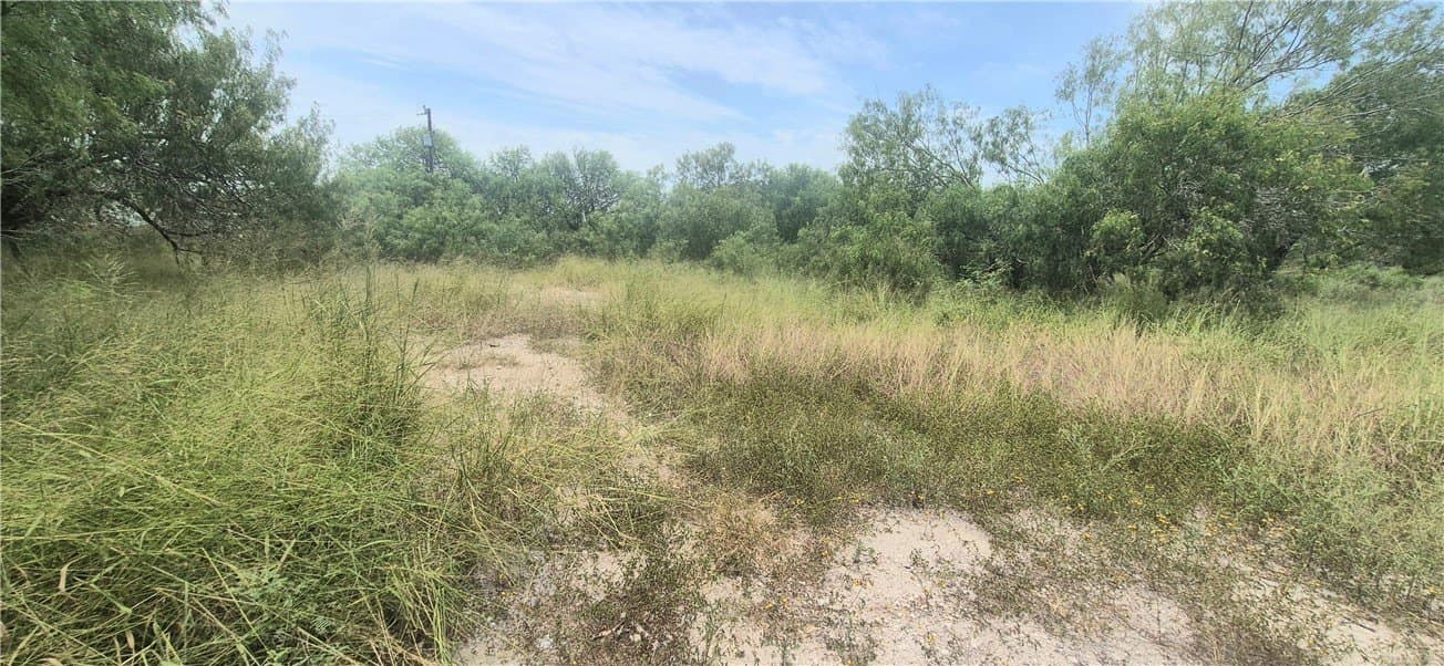 2 acres in Nueces County - photo 5