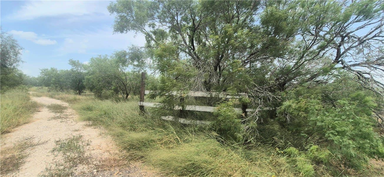 2 acres in Nueces County - photo 9