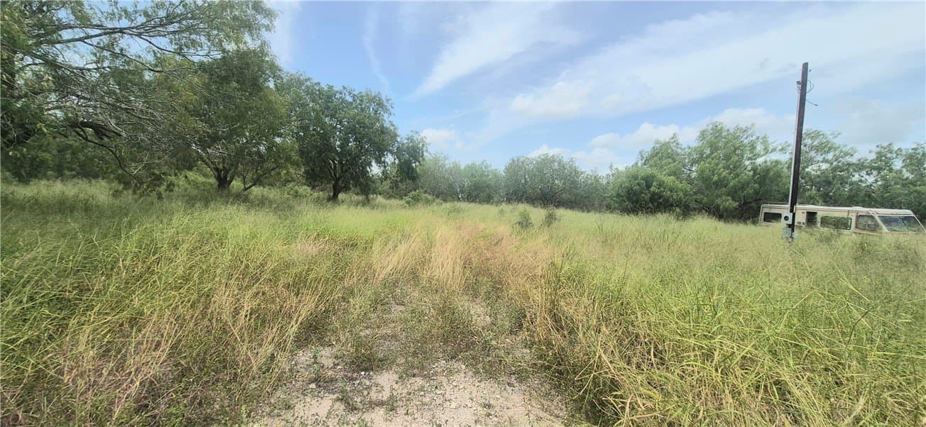 2 acres in Nueces County - photo 6