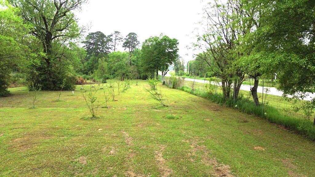 7.49 acres in Texas County - photo 18
