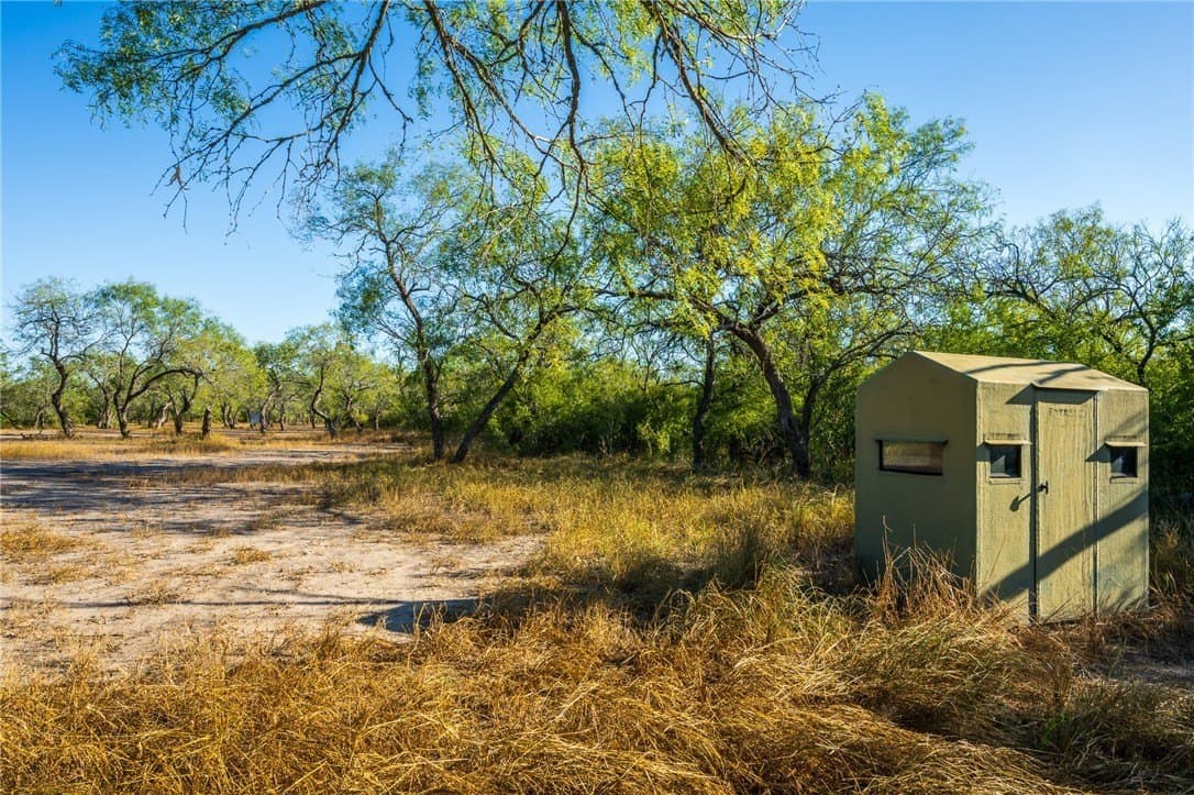 92 acres in Nueces County - photo 29