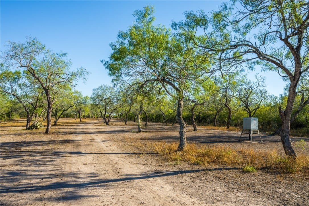 92 acres in Nueces County - photo 30