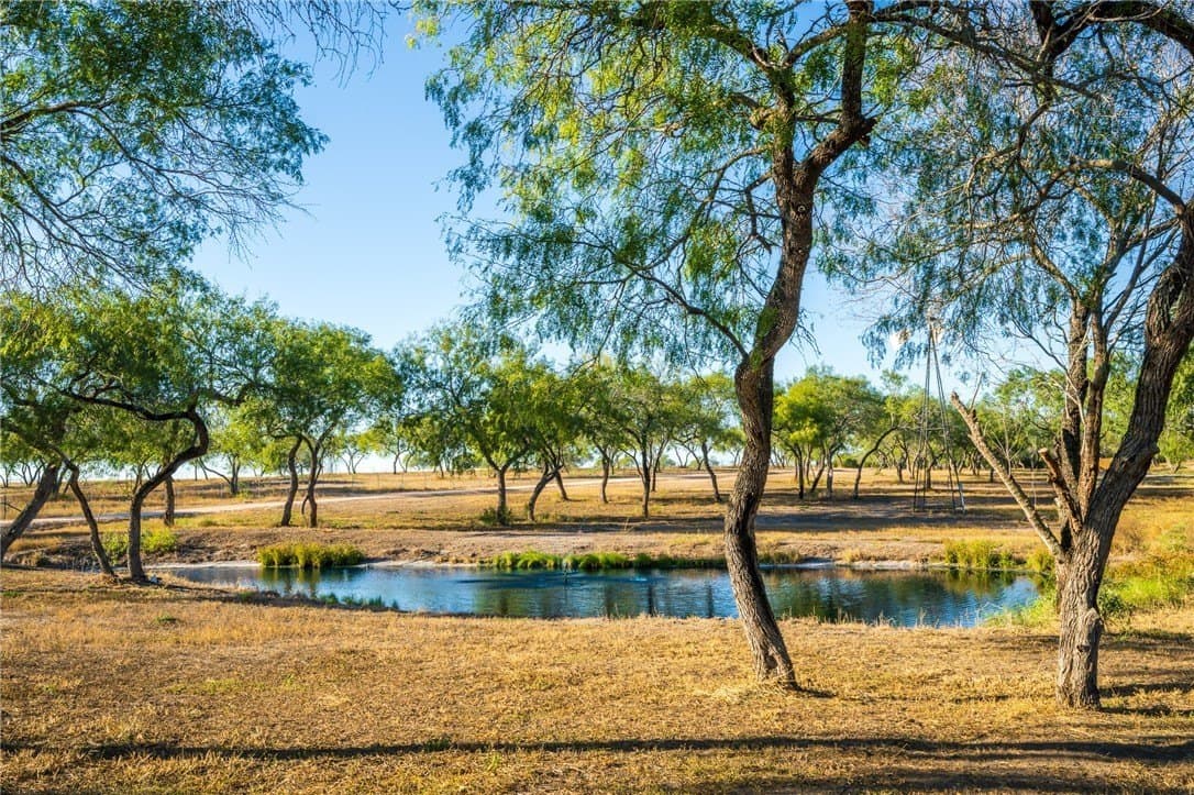 92 acres in Nueces County - photo 31