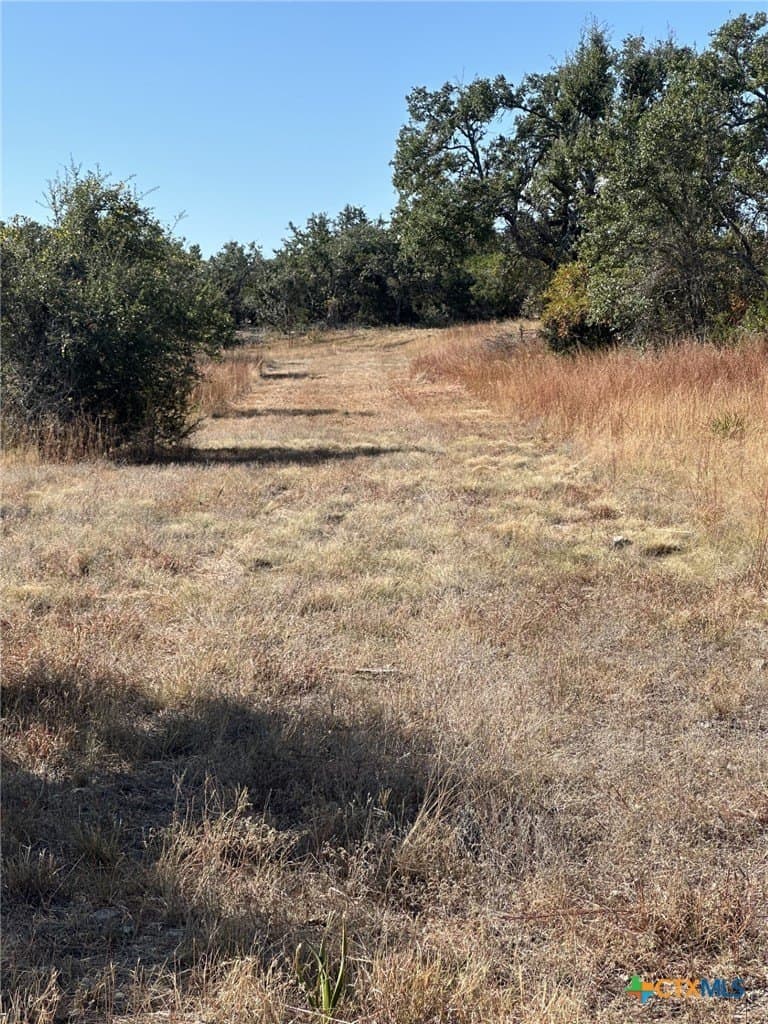 29.44 acres in Comal County - photo 14