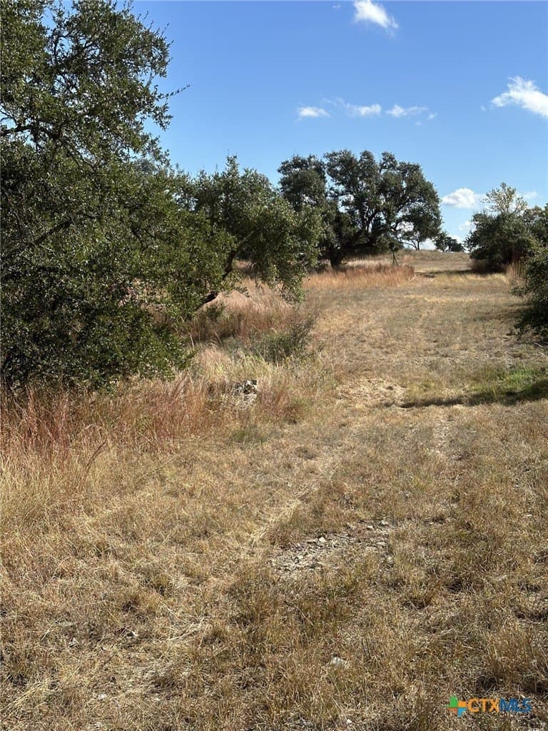 29.44 acres in Comal County - photo 5