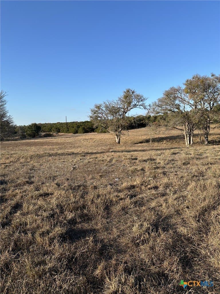 29.44 acres in Comal County - photo 6