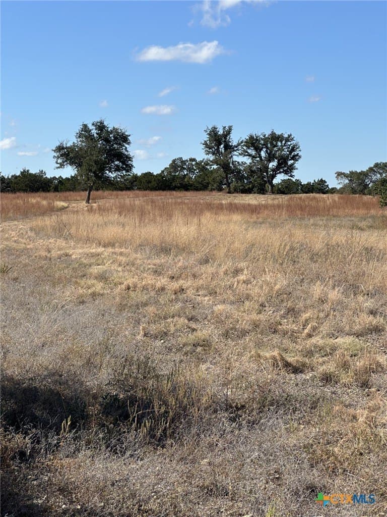 29.44 acres in Comal County - photo 8