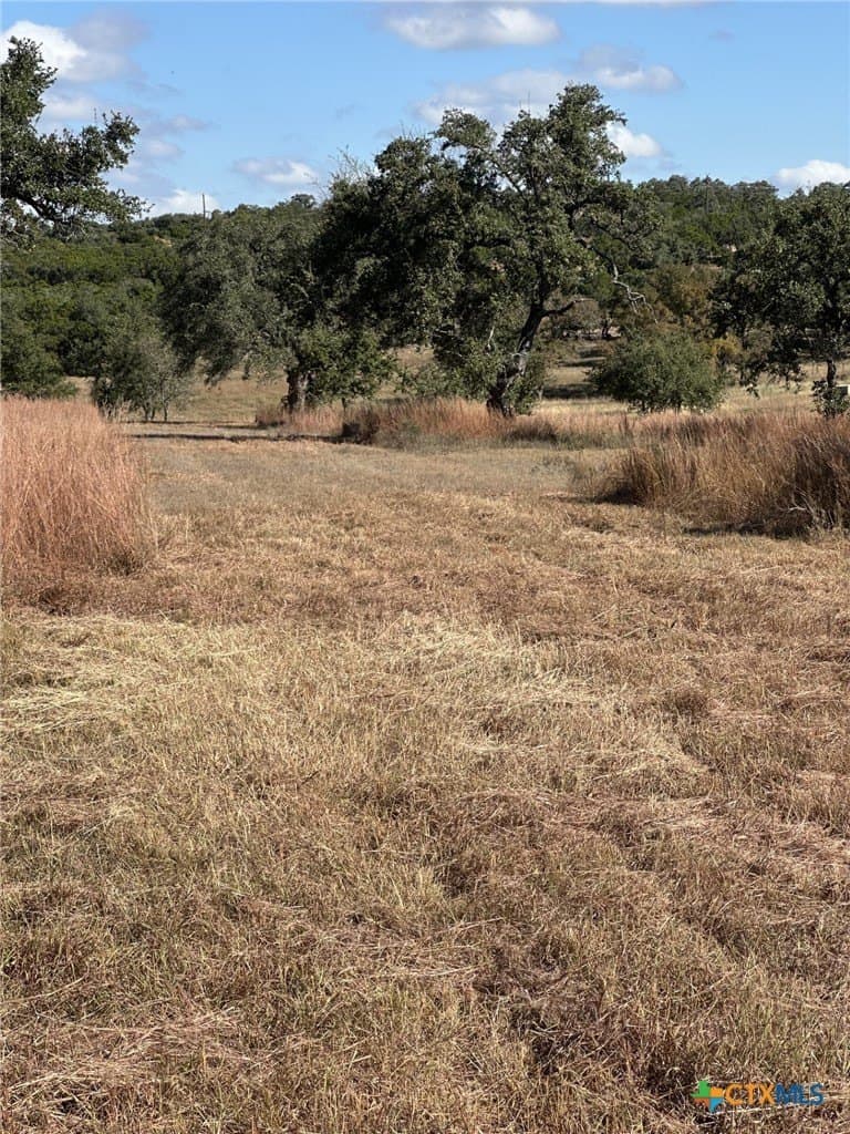 29.44 acres in Comal County - photo 2