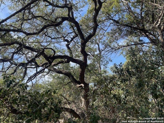 3.81 acres in Comal County gallery image 4