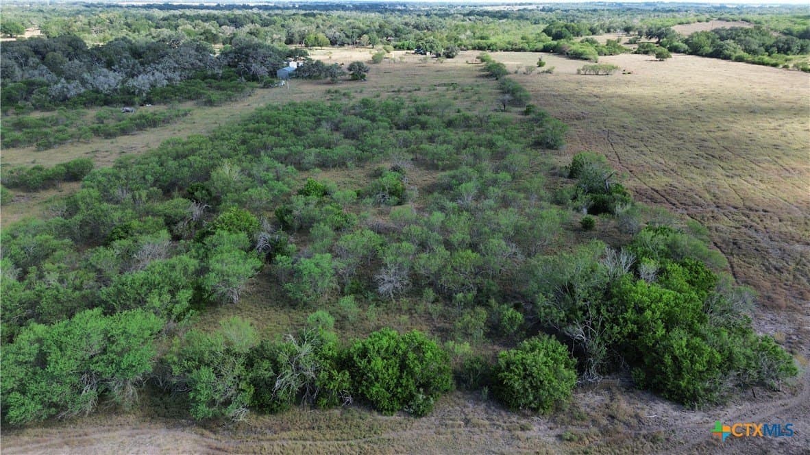 7.96 acres in DeWitt County - photo 5