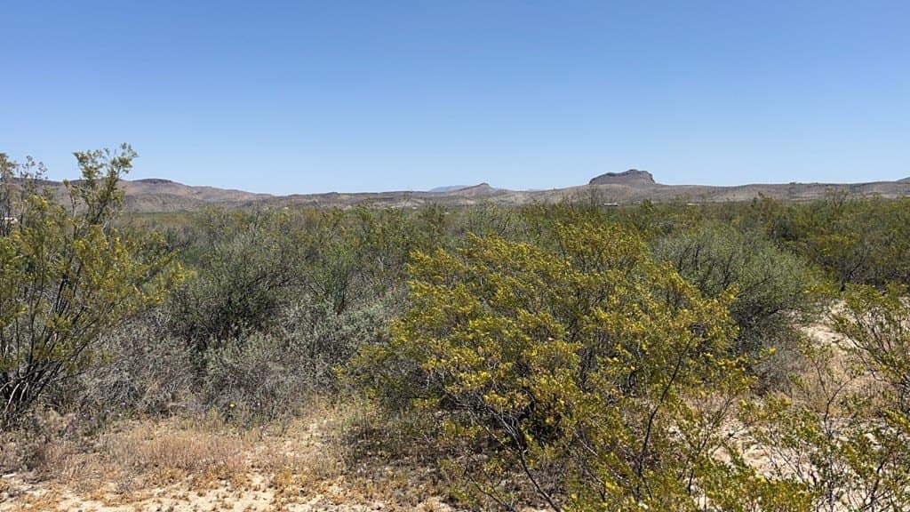 5 acres in Brewster County gallery image 2