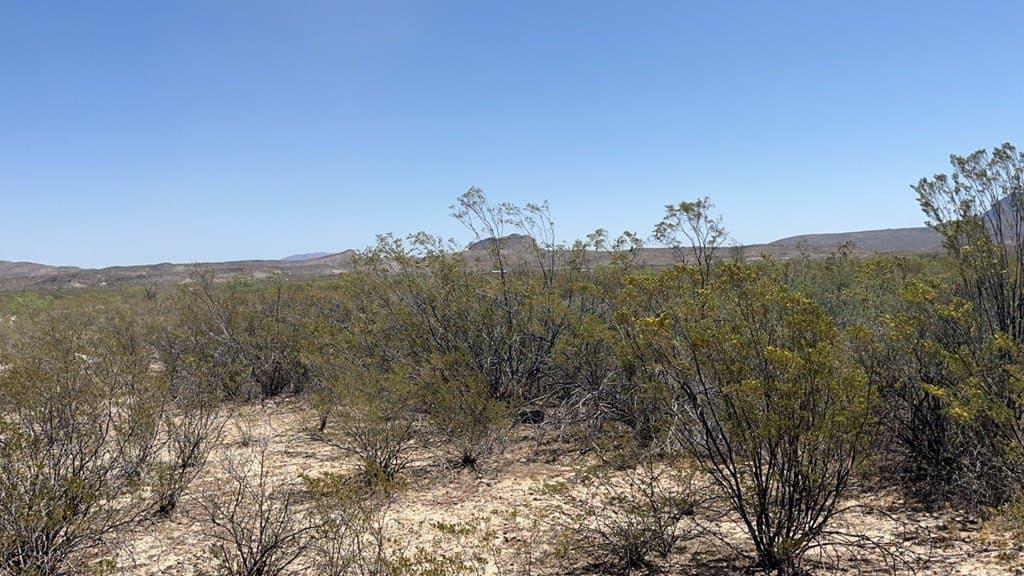 5 acres in Brewster County gallery image 4