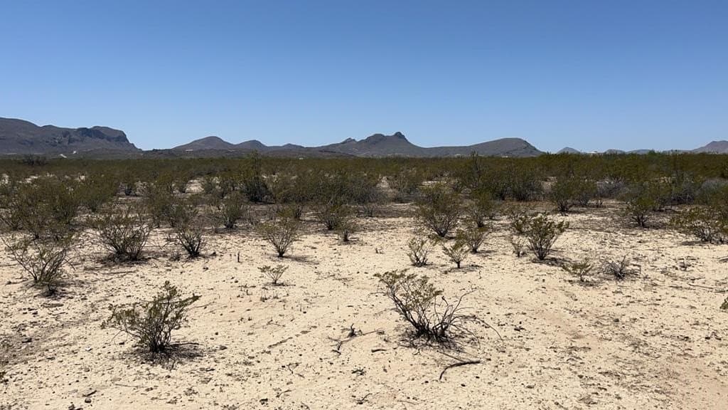 5 acres in Brewster County