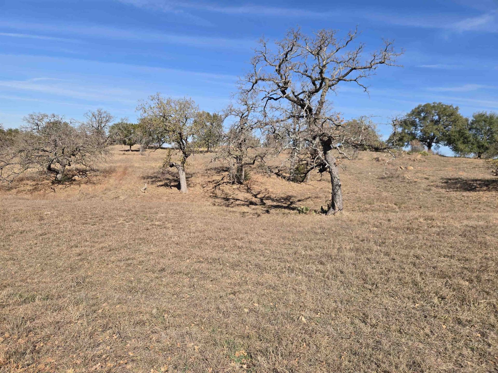 0.25 acres in Llano County - photo 8