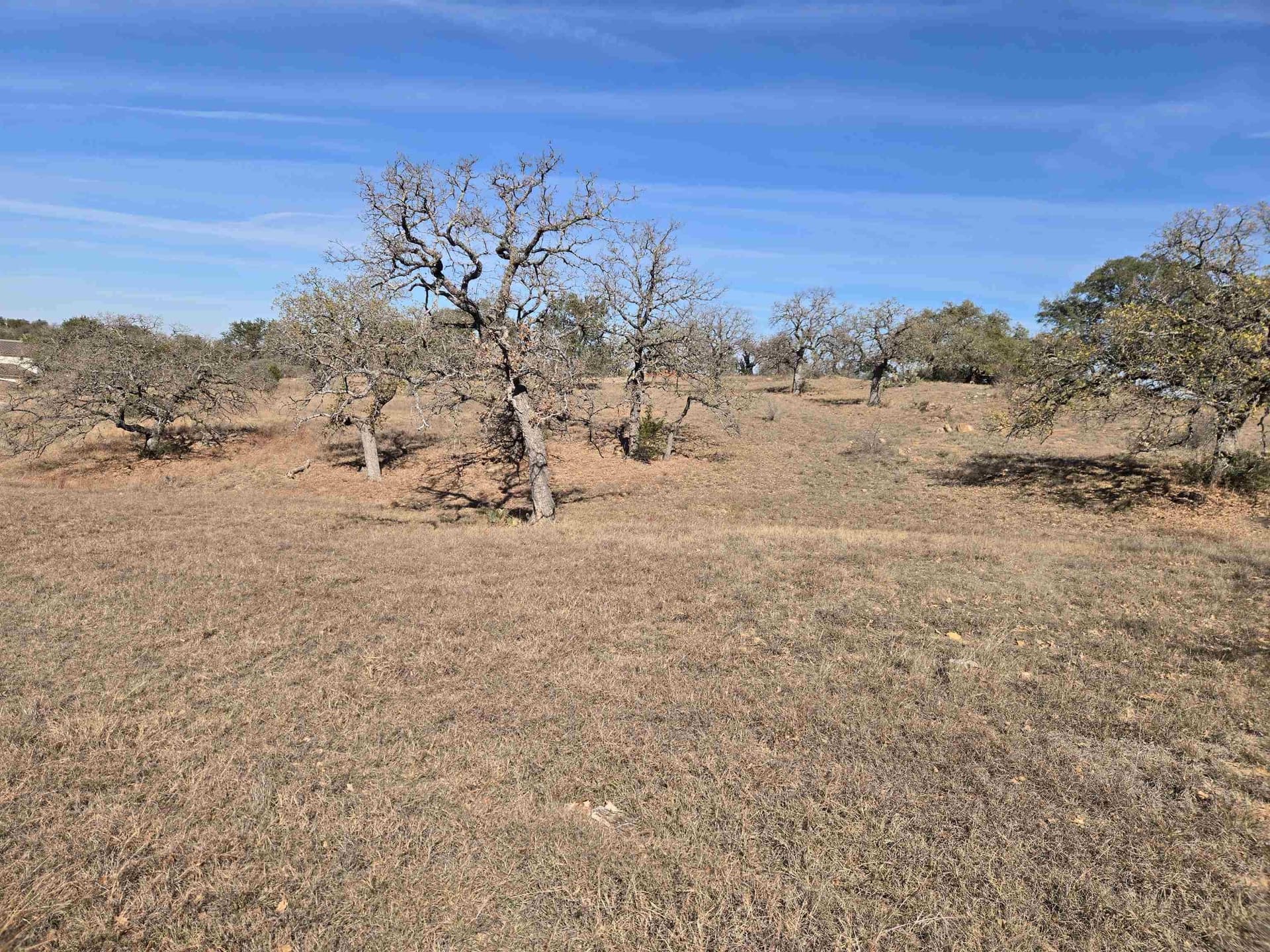 0.25 acres in Llano County - photo 6