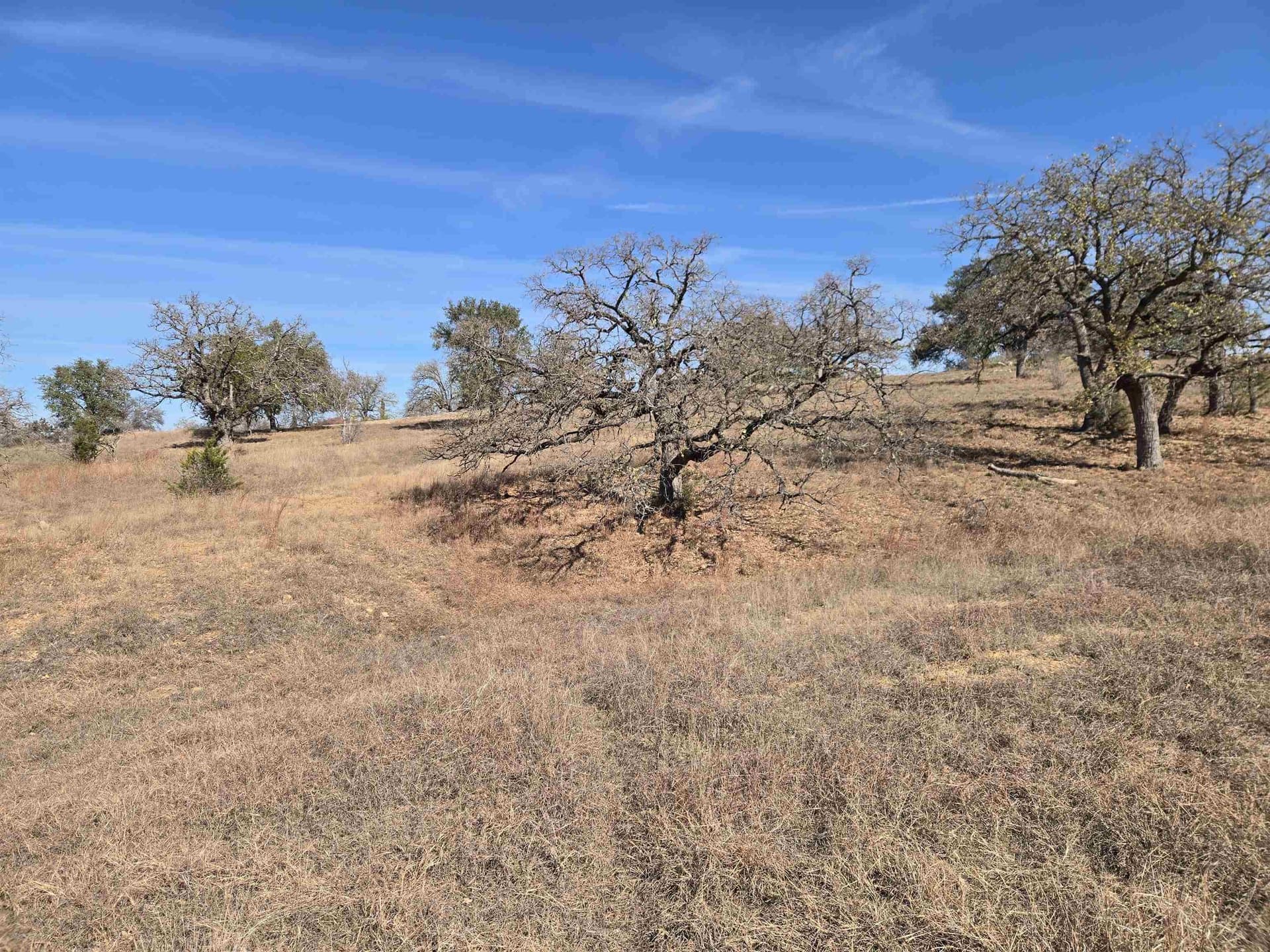 0.25 acres in Llano County featured view