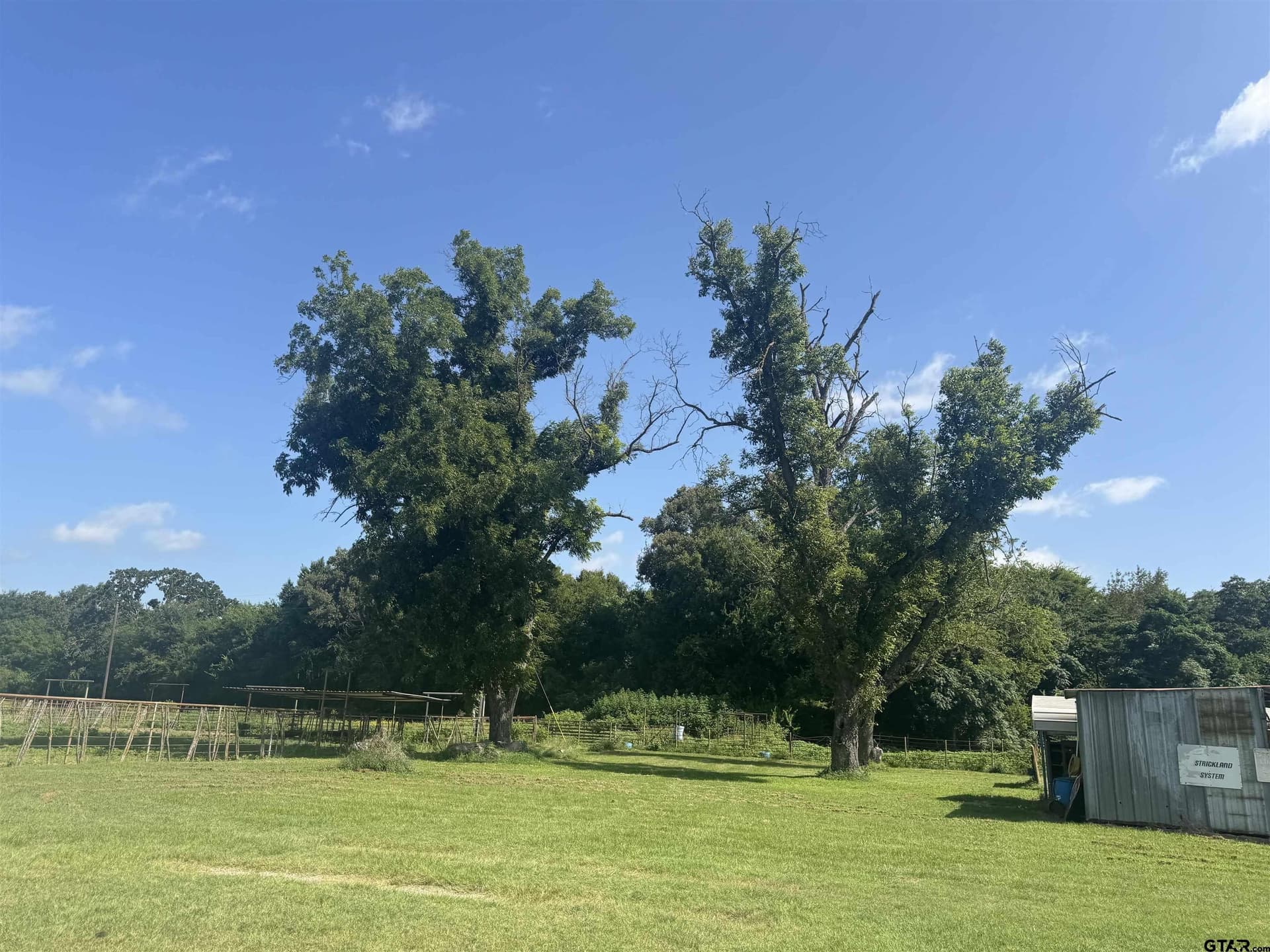 91.3 acres in Van Zandt County - photo 48