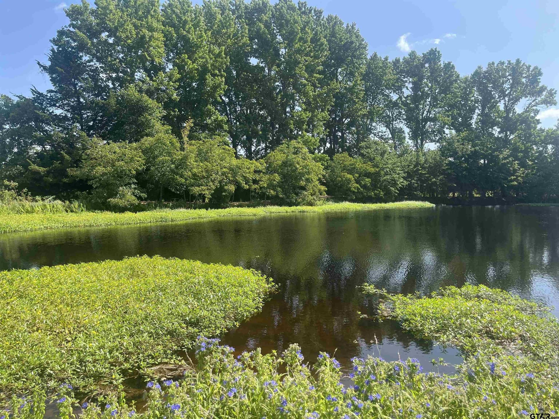 91.3 acres in Van Zandt County - photo 44