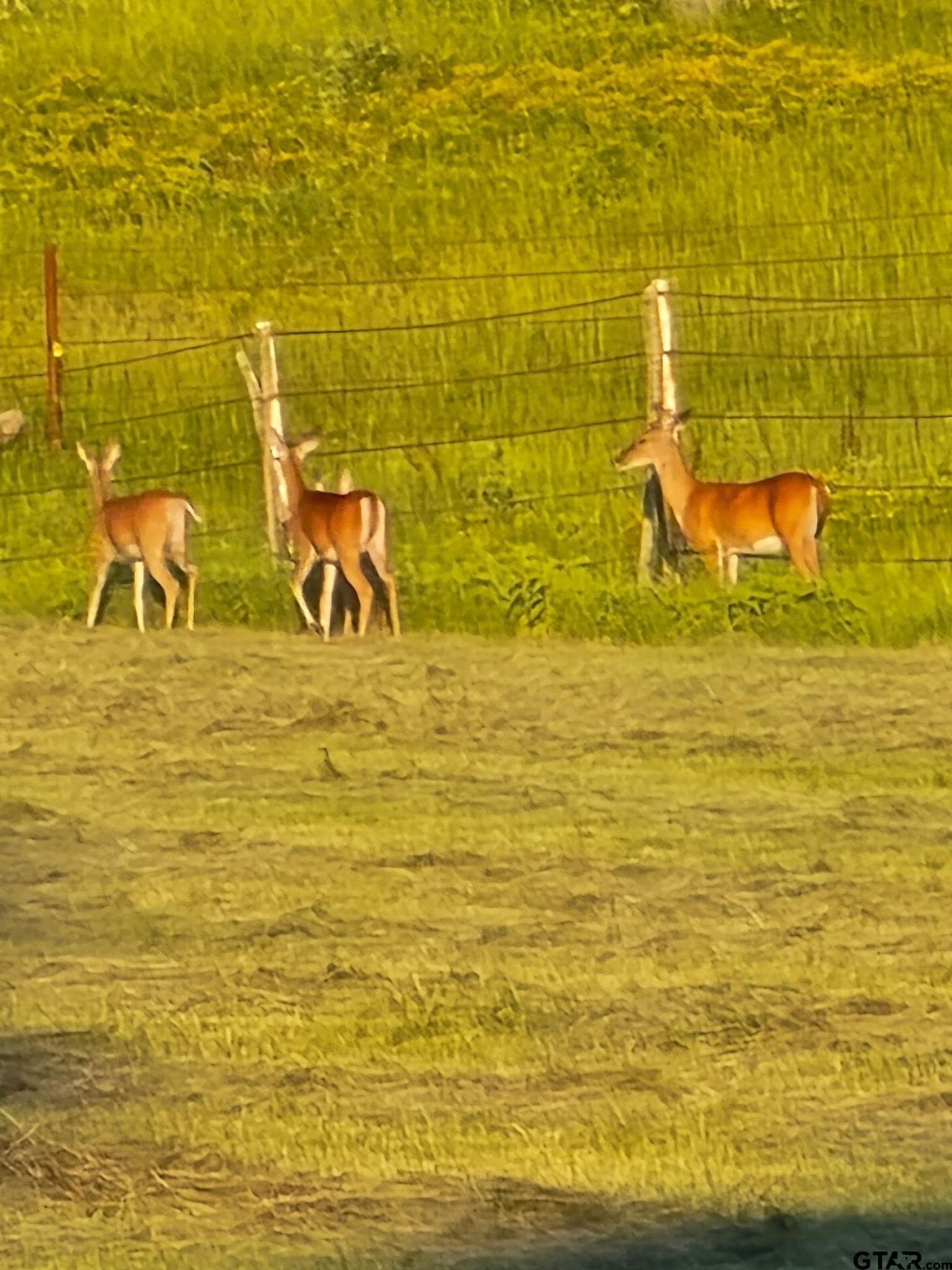 91.3 acres in Van Zandt County - photo 45