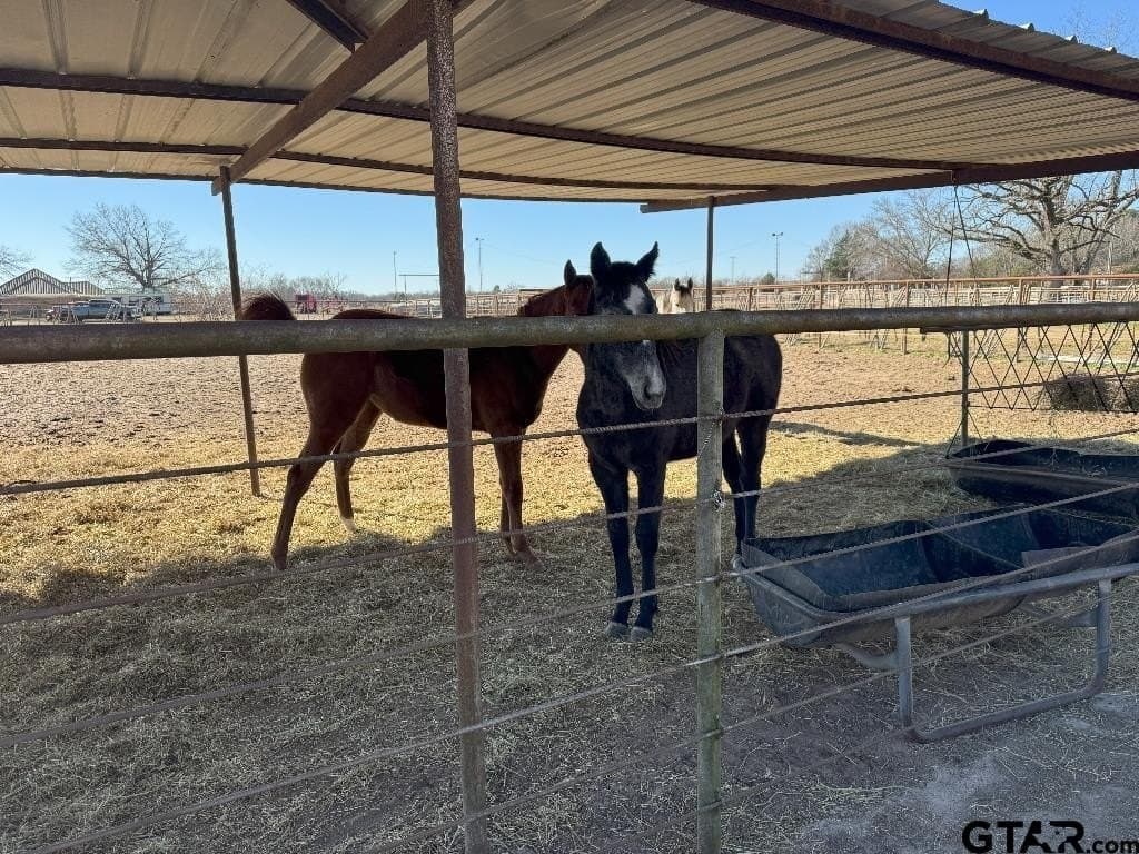 91.3 acres in Van Zandt County - photo 10
