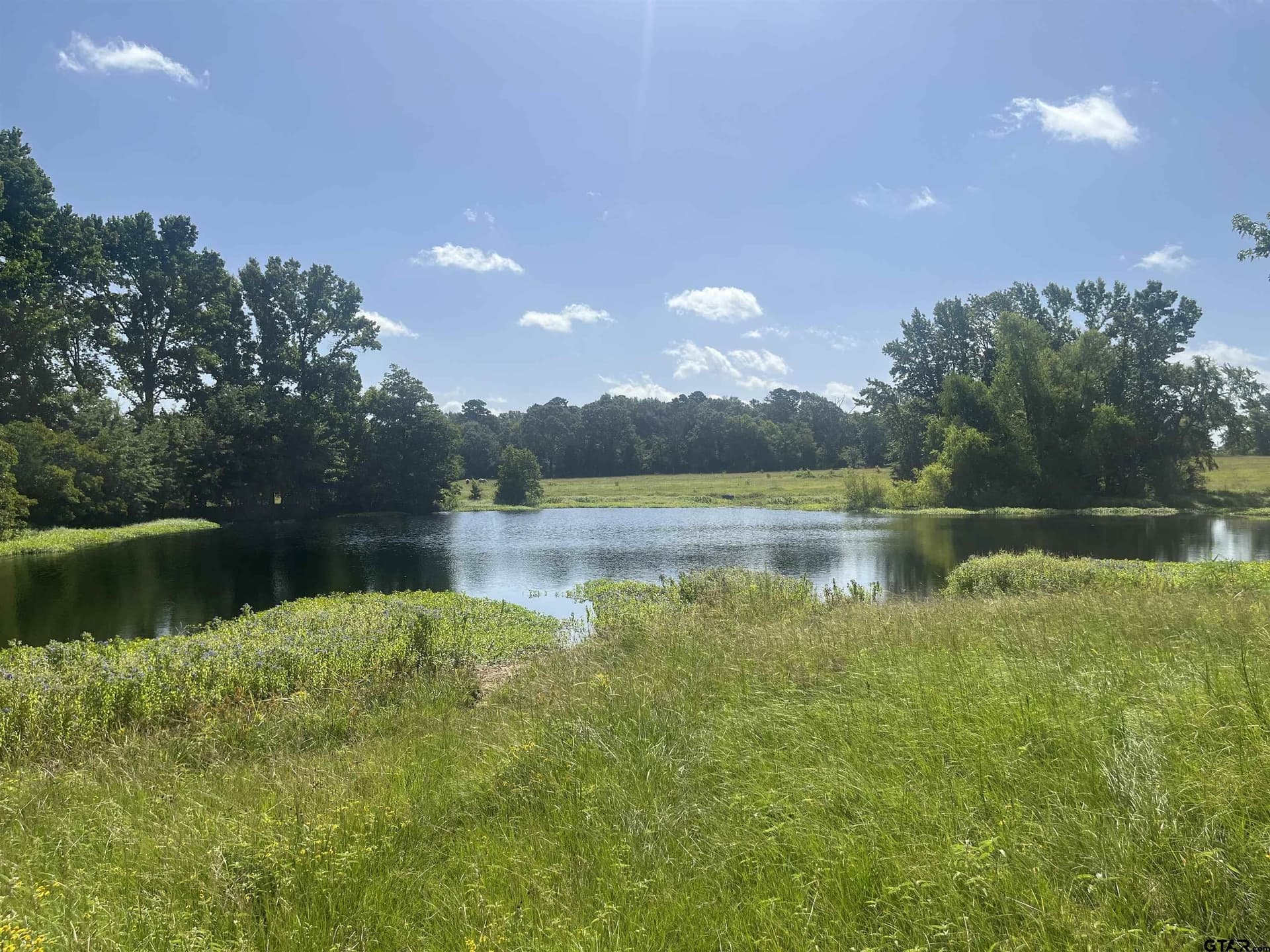 91.3 acres in Van Zandt County - photo 41