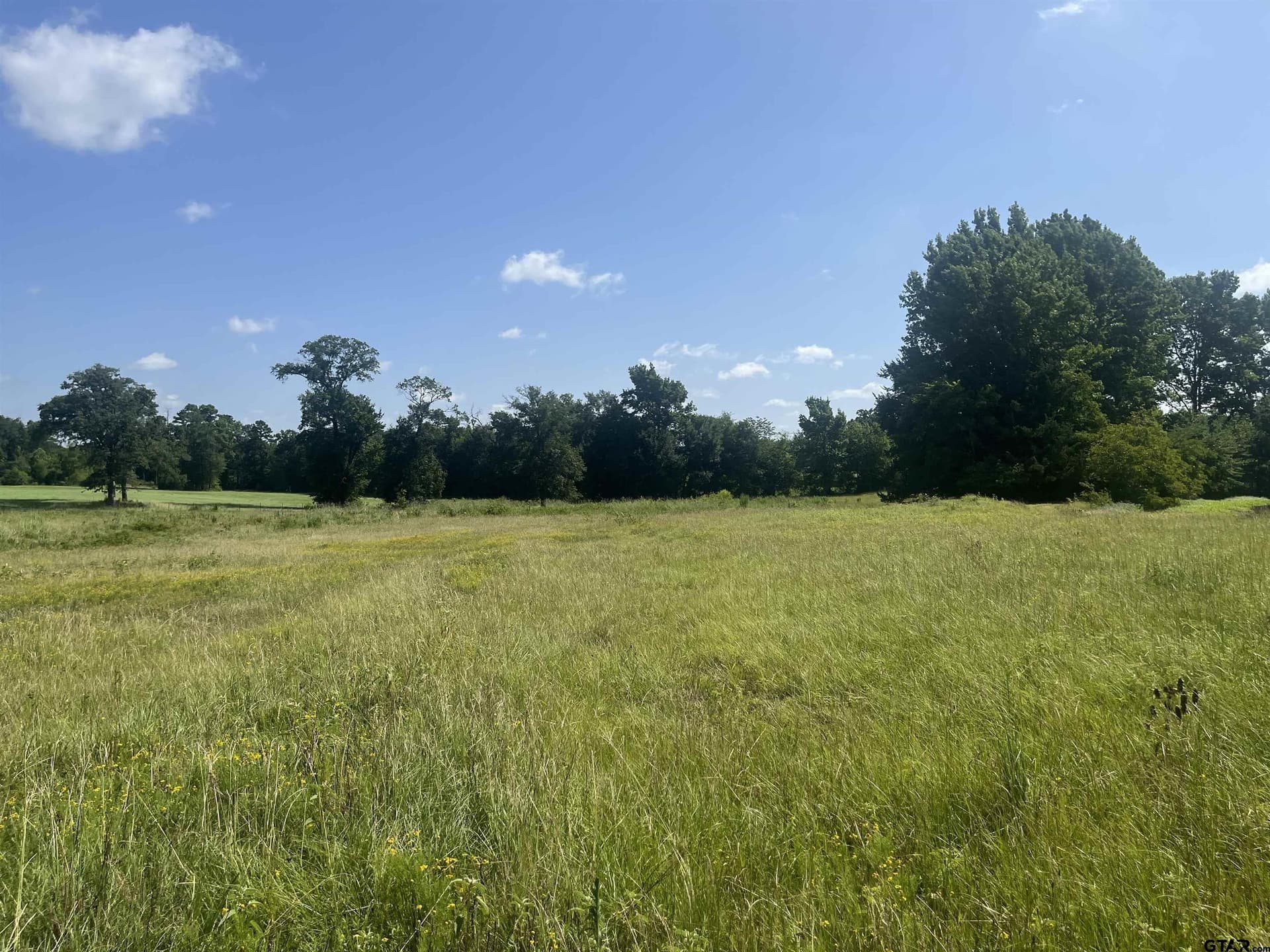 91.3 acres in Van Zandt County - photo 38