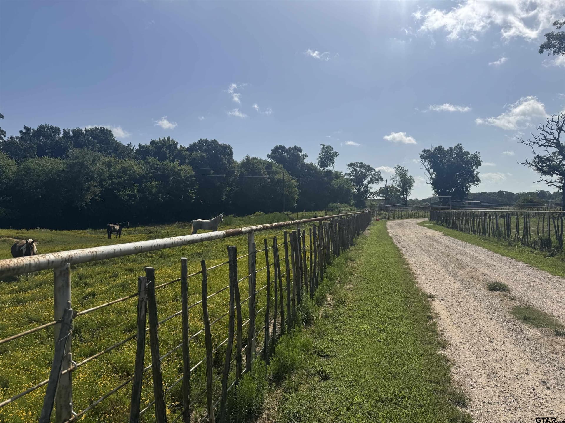 91.3 acres in Van Zandt County - photo 24