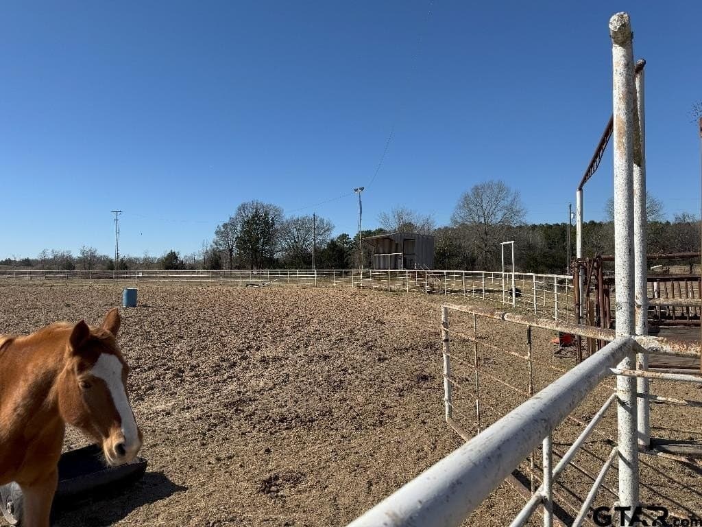 91.3 acres in Van Zandt County - photo 13